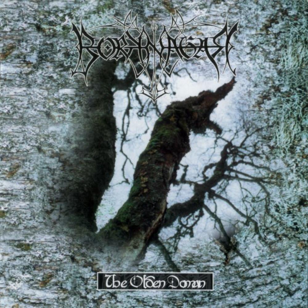 Borknagar The Olden Domain album cover