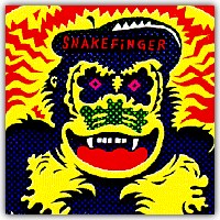 Snakefinger - What Wilbur? / Kill the Great Raven CD (album) cover