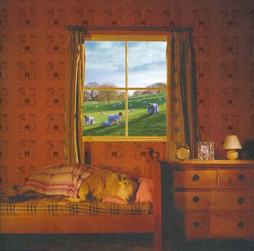 Umphrey's McGeeSafety In Numbers album cover Umphrey's McGee Safety In Numbers album cover