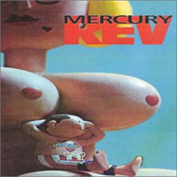 Mercury RevBoces album cover Mercury Rev Boces album cover