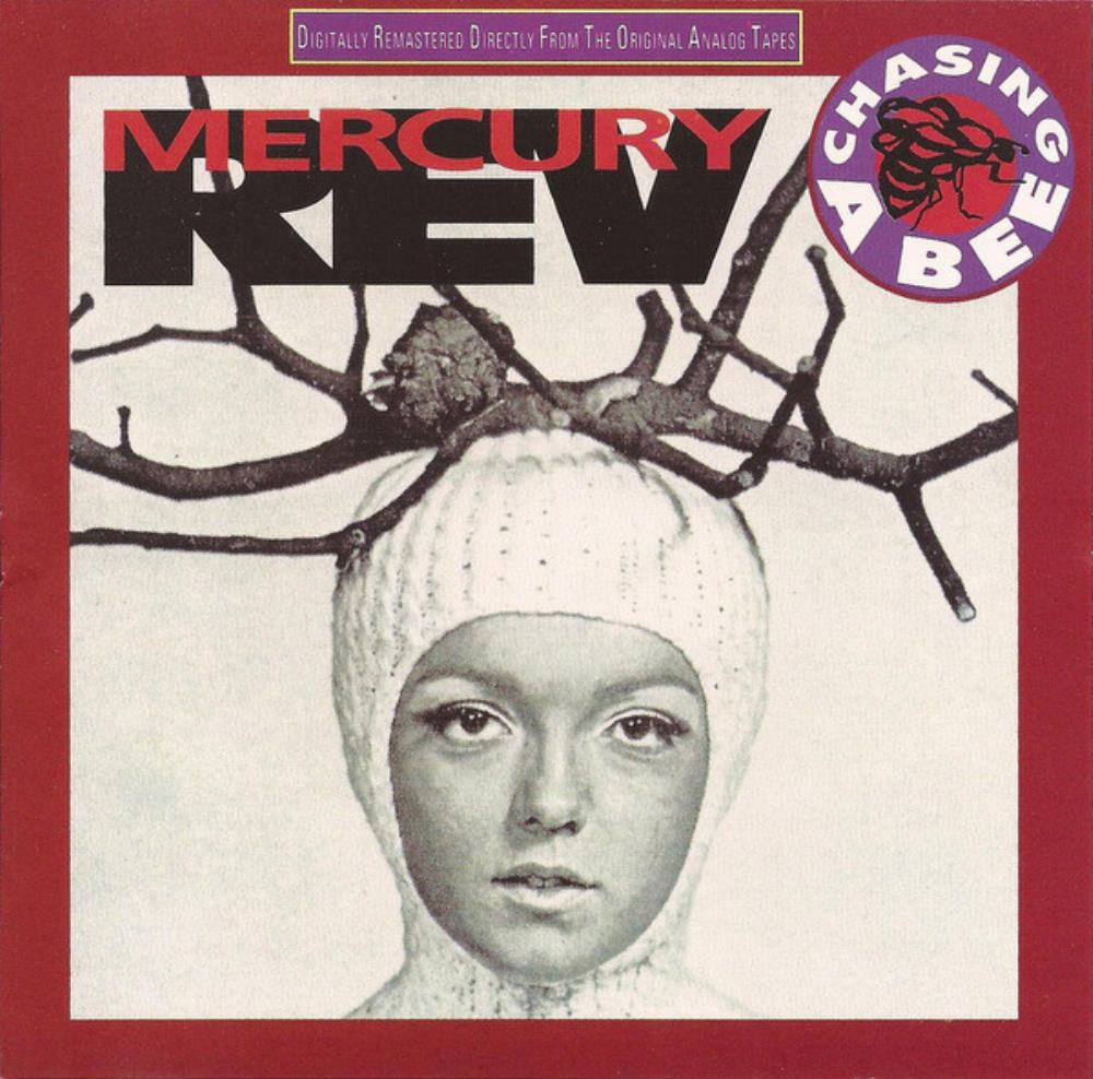 Mercury Rev Chasing a Bee album cover