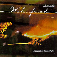 Richard Wahnfried - Wahnfried: Drums 'n' Balls (The Gancha Dub) CD (album) cover