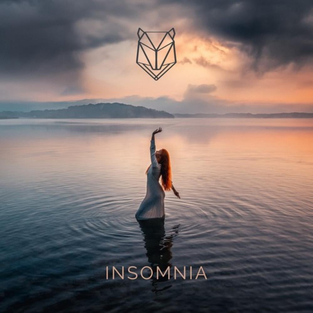 Amarok Insomnia album cover