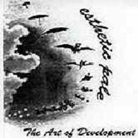 Esthetic Pale - The Art Of Development  CD (album) cover