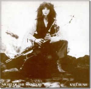 Kate Bush Night of the Swallow album cover