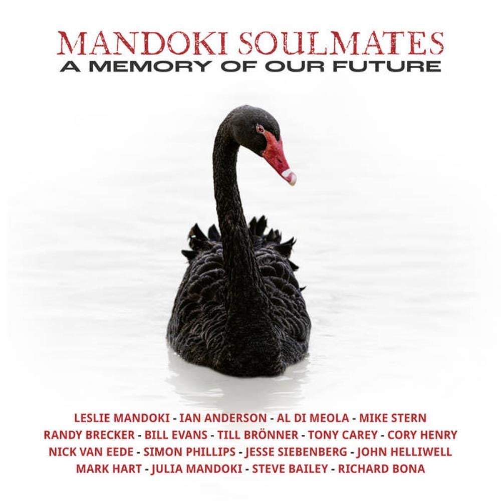 Man Doki Soulmates A Memory of Our Future album cover