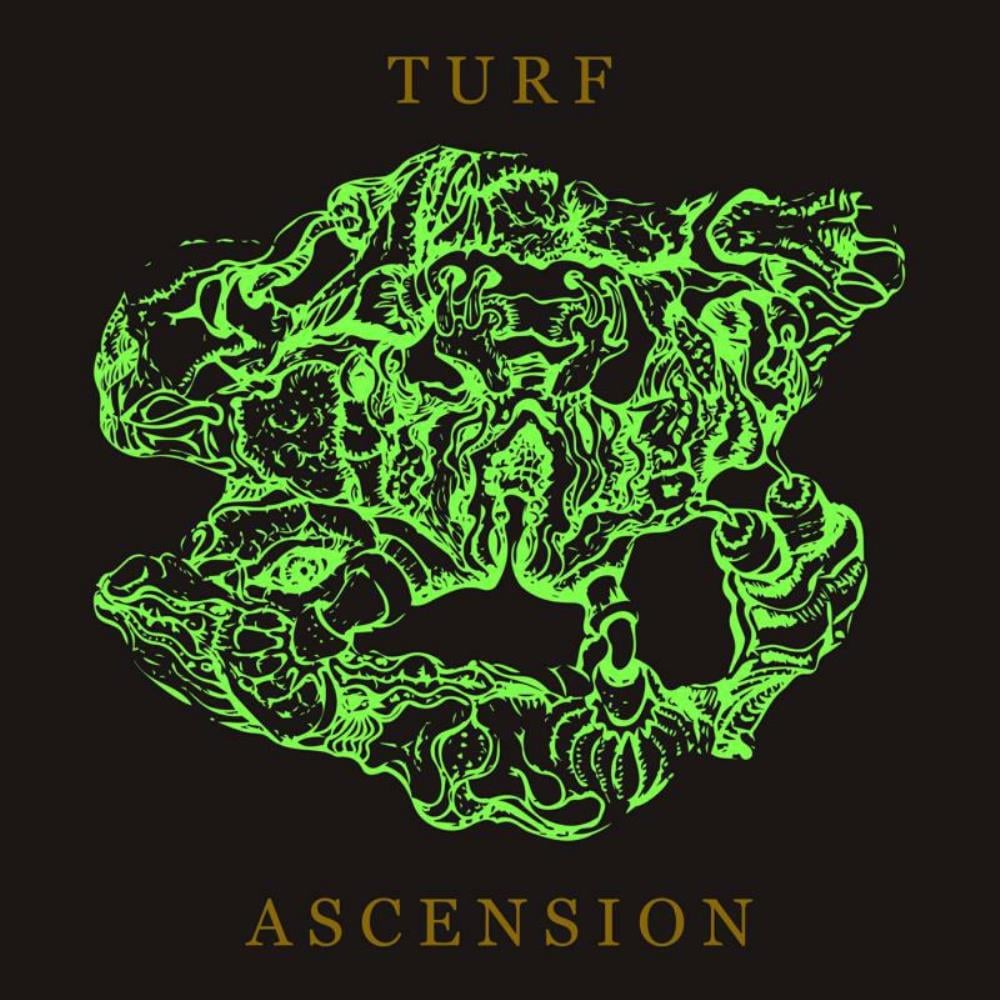  Turf Ascension by BUBBLEMATH album cover