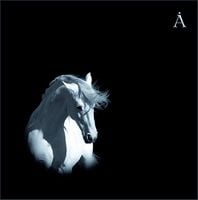  Лошадь белая / White Horse by AQUARIUM album cover