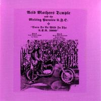 Acid Mothers Temple - Born to Be Wild in the USA 2000 CD (album) cover