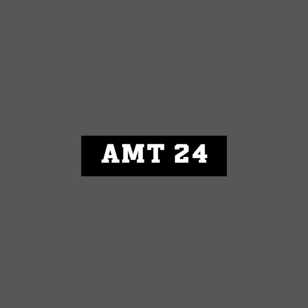 Acid Mothers Temple - AMT 24 CD (album) cover