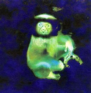 Bardo Pond Vol. I album cover