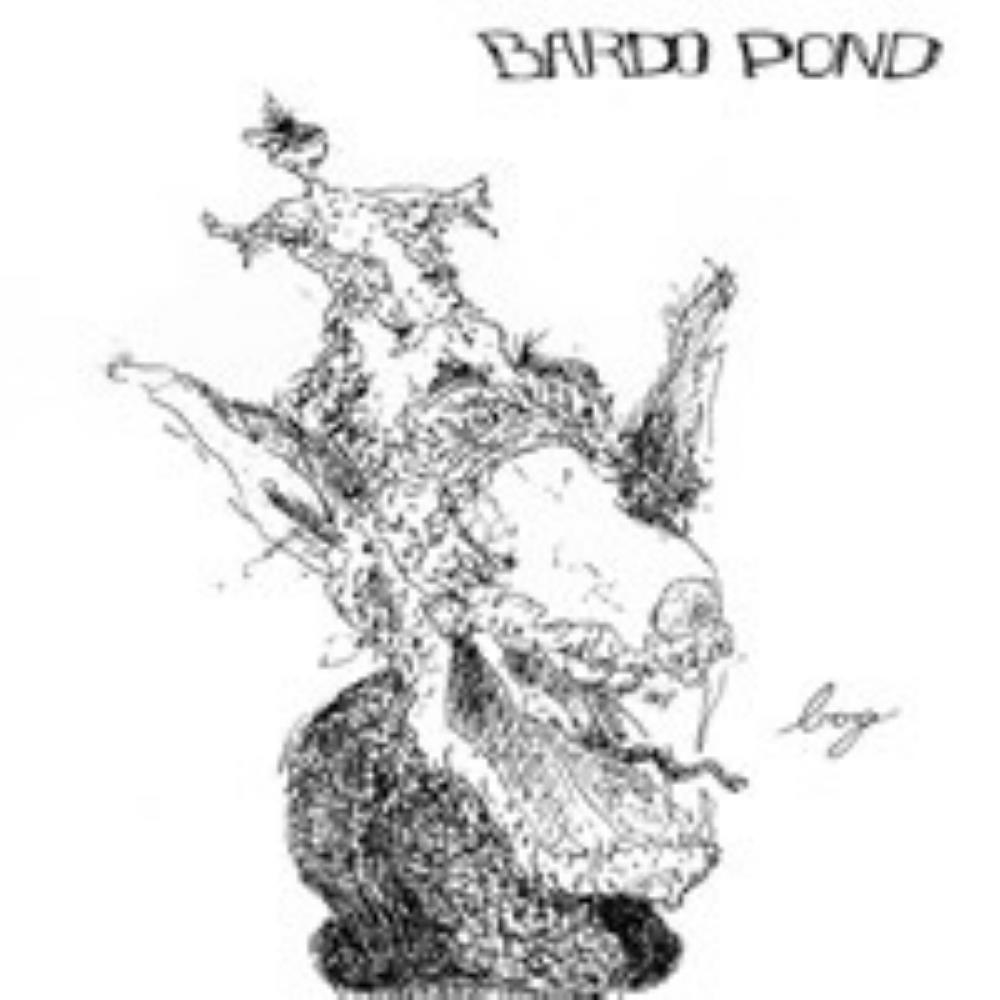 Bardo Pond Bog / Pushed Out Into the Sun album cover