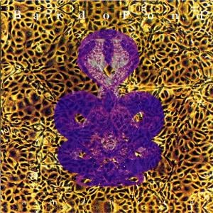 Bardo Pond - Amanita CD (album) cover