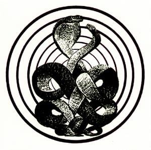 Bardo Pond Vol. IV album cover