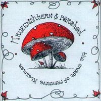 Kruzenshtern & Parohod - The Craft of Primitive Klezmer CD (album) cover