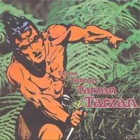 Various Artists (Concept albums & Themed compilations) Tarzan album cover