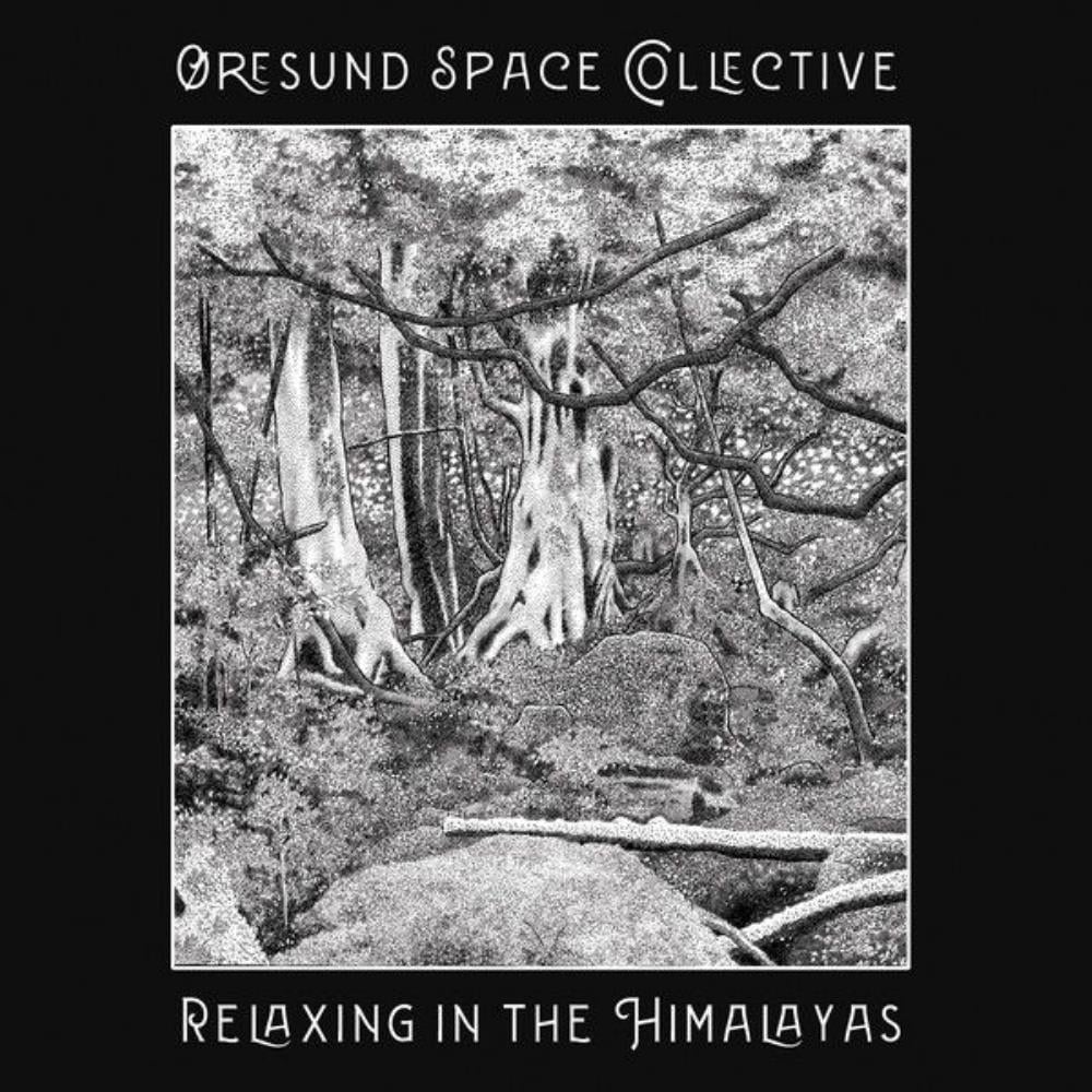 resund Space Collective - Relaxing in the Himalayas CD (album) cover