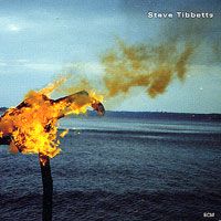 Steve Tibbetts - A Man About A Horse CD (album) cover