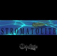 Outer Limits Stromatolite album cover