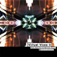 Pete Namlook Virtual Vices II (with Wolfram Spyra) album cover