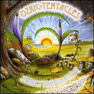 Ozric Tentacles Swirly Termination album cover