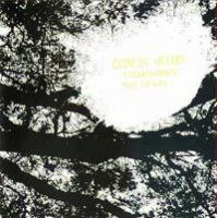 Comets on Fire Field Recordings from the Sun album cover