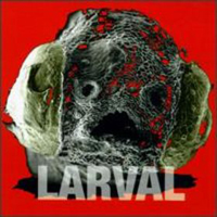 Larval Larval album cover