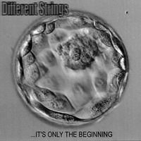 Different Strings - ...It's Only the Beginning CD (album) cover