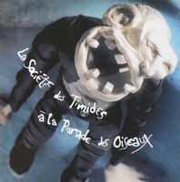  Expériences de survie by SOCIETE DES TIMIDES À LA PARADE DES OISEAUX, LA album cover