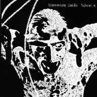 Diamanda Gals - Schrei X CD (album) cover