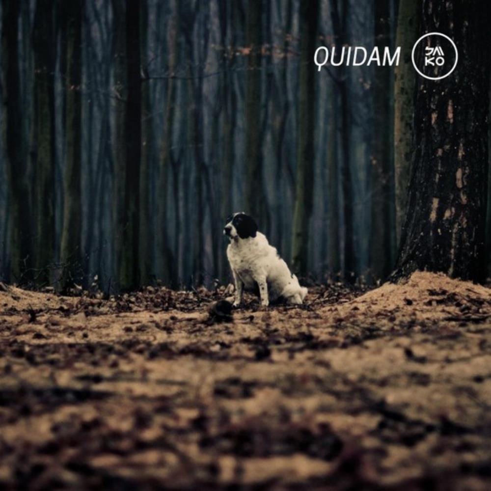 Quidam Saiko album cover