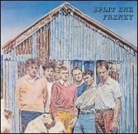 Split Enz Frenzy album cover