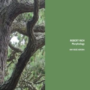 Robert Rich Morphology album cover