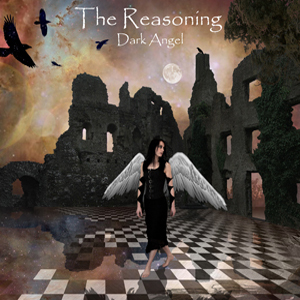 The Reasoning -  (2007 - 2012)