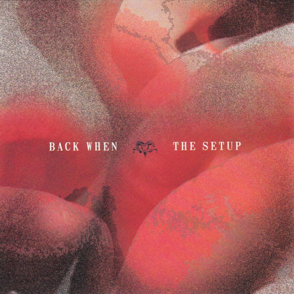 Back When Back When / The Setup: Split album cover