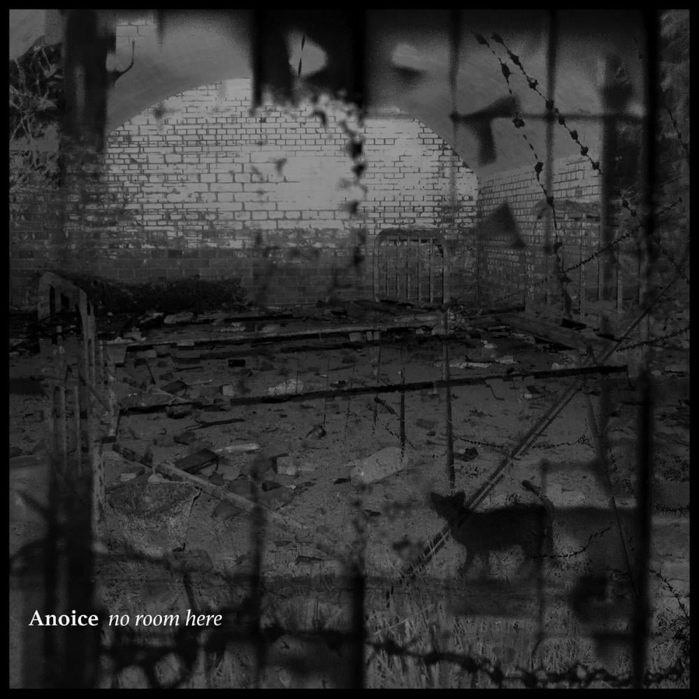 Anoice No Room Here album cover