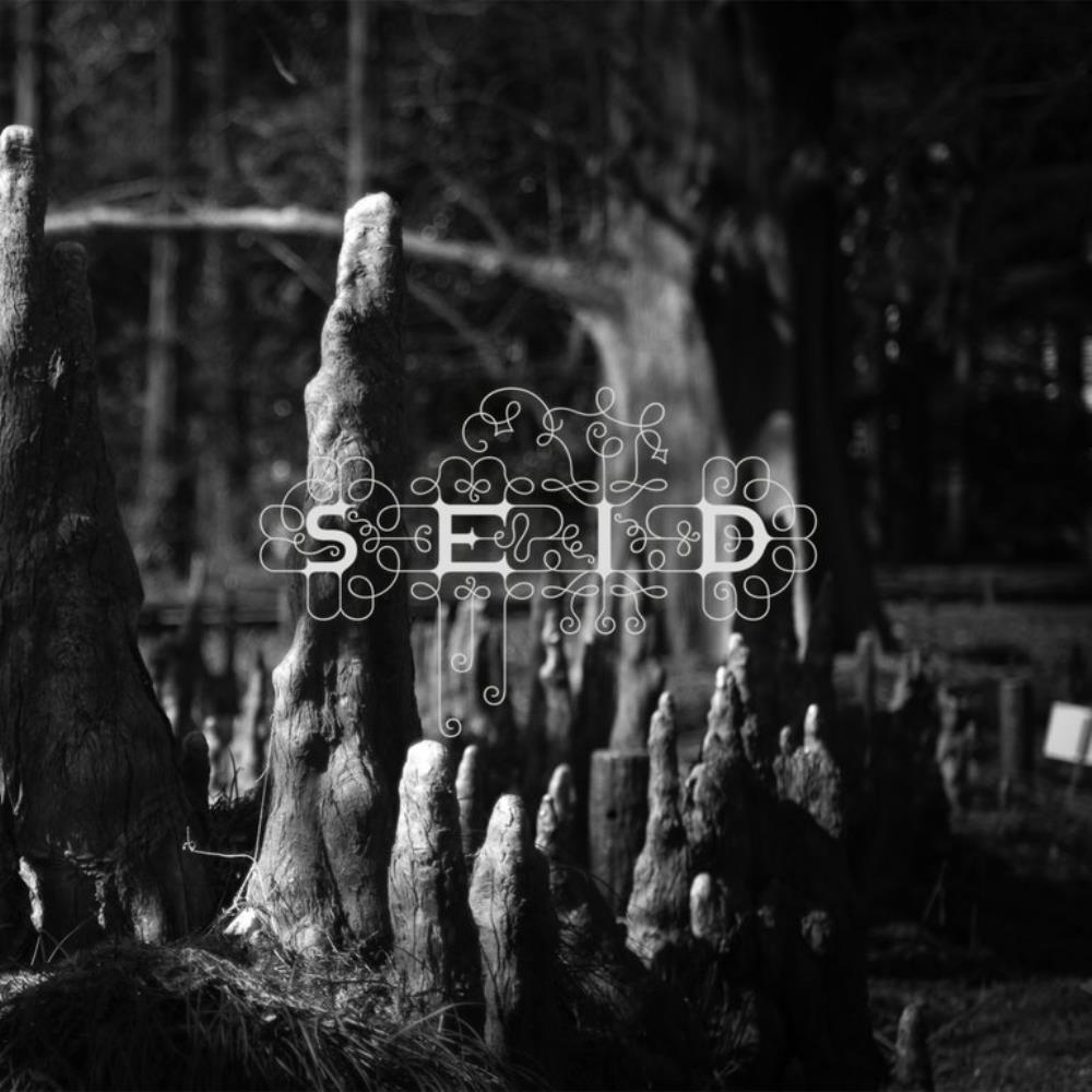 Seid Magic Handshake album cover