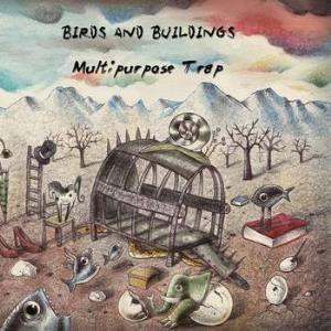 Birds And Buildings Multipurpose Trap album cover