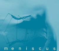 Meniscus - Absence of I CD (album) cover