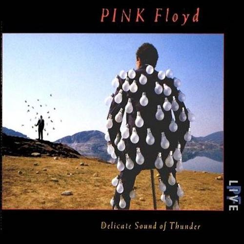 Pink Floyd The Delicate Sound Of Thunder album cover
