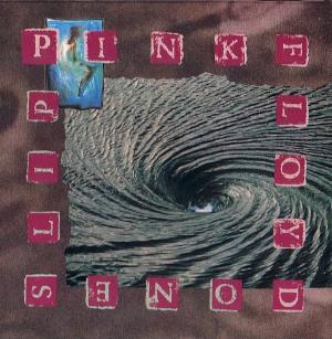 Pink Floyd One Slip album cover
