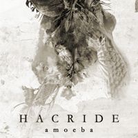 Hacride Amoeba album cover