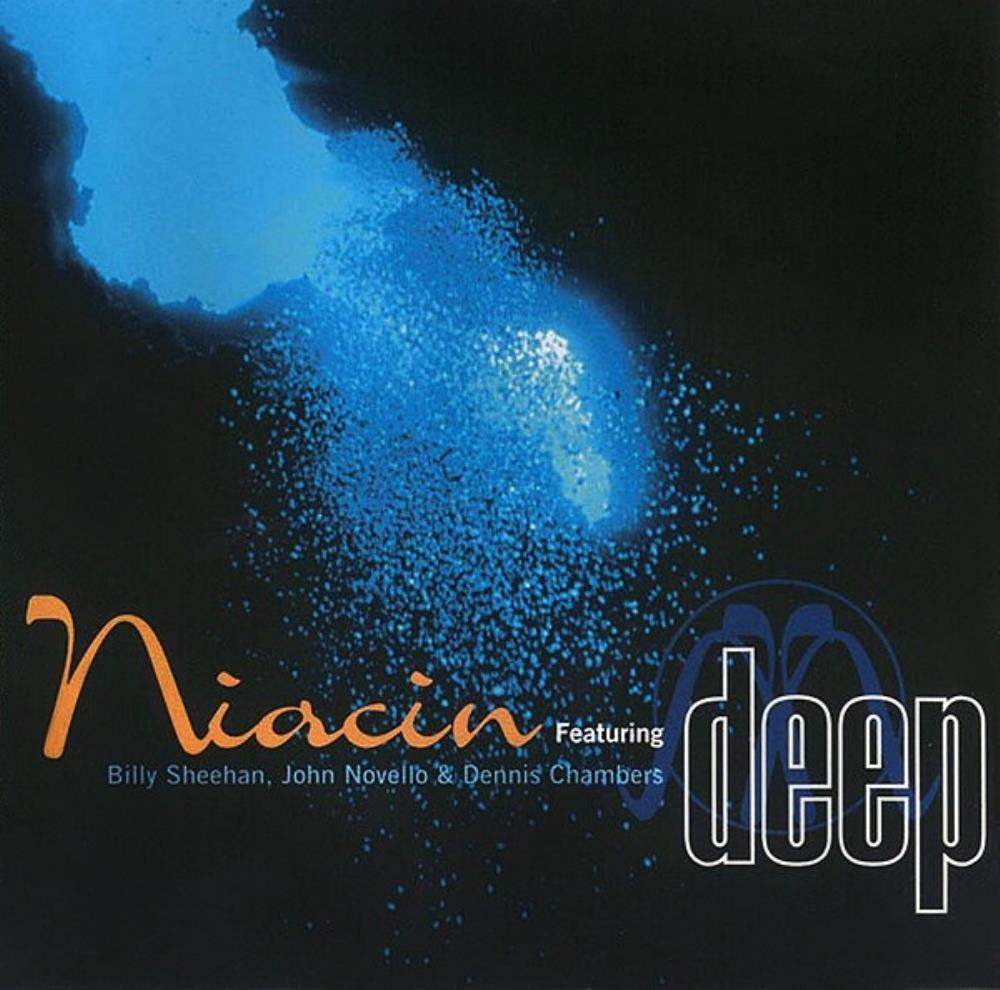 Niacin Deep album cover
