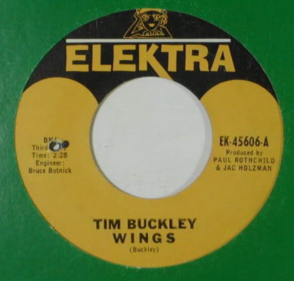 Tim Buckley Wings / Grief in My Soul album cover