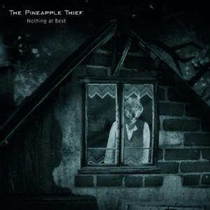 The Pineapple Thief Nothing At Best album cover