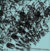 The Grasshopper Lies Heavy Gun album cover