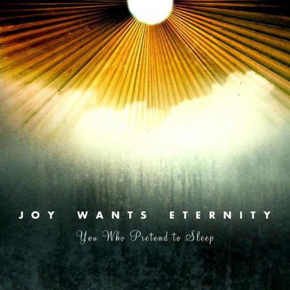 Joy Wants Eternity - You Who Pretend To Sleep CD (album) cover