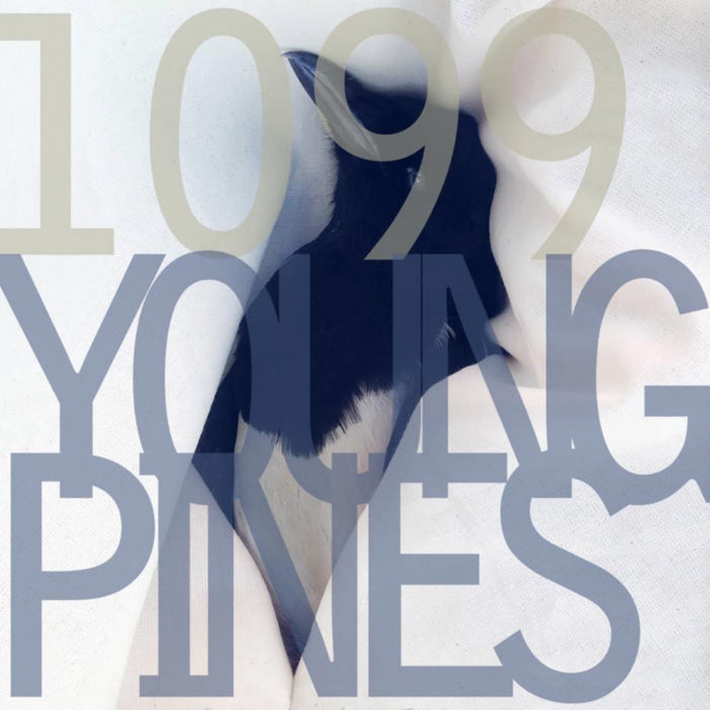 1099 Young Pines album cover
