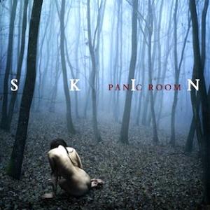 Panic Room Skin album cover