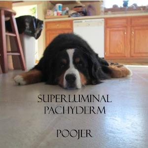 Superluminal Pachyderm - Poojer CD (album) cover